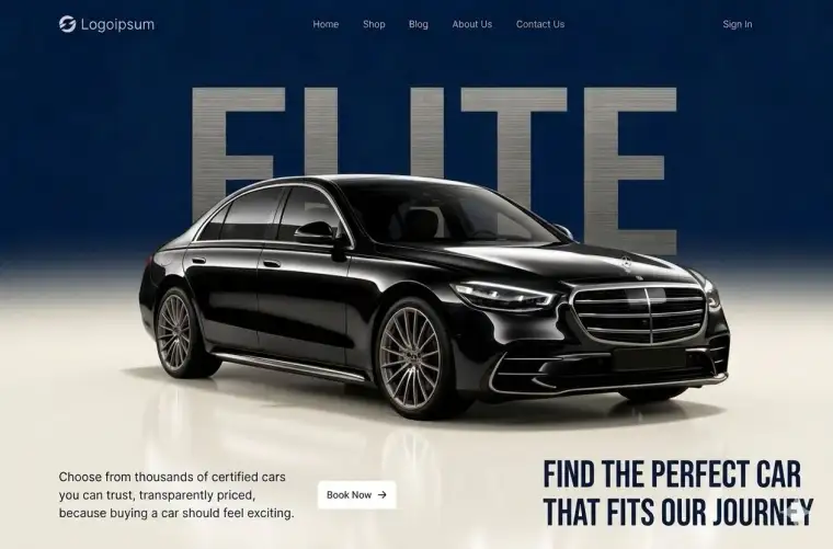 OneWord limo white website project